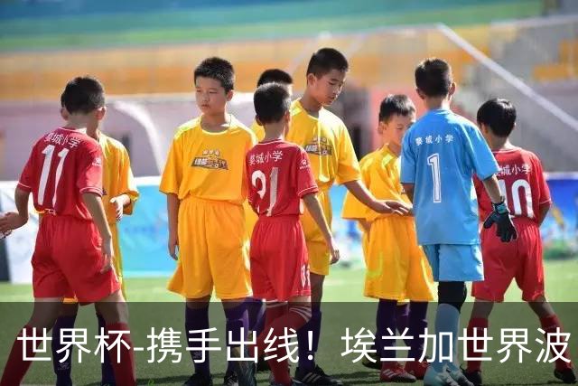 世界杯-携手出线！埃兰加世界波 瑞典1-1送日本踢巴西