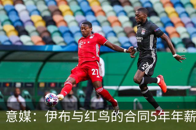 意媒：伊布与红鸟的合同5年年薪100万欧，职责除了竞技还涉及商业