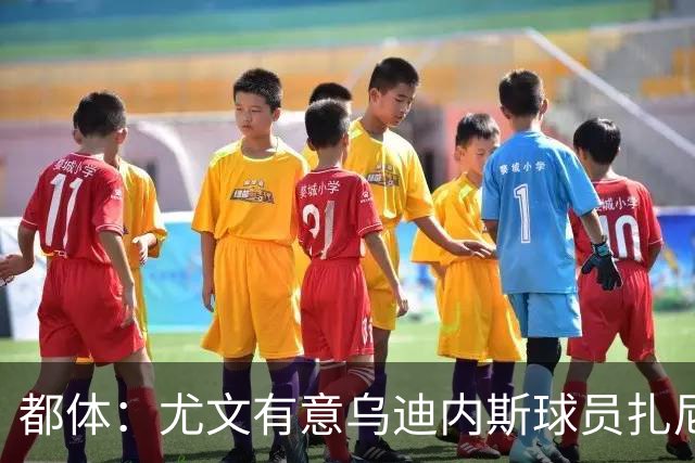 都体：尤文有意乌迪内斯球员扎尼奥洛，想把卡巴尔阿季奇加入谈判