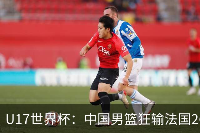 U17世界杯：中国男篮狂输法国26分无缘八强 刘玄昱20+7张子一7中7