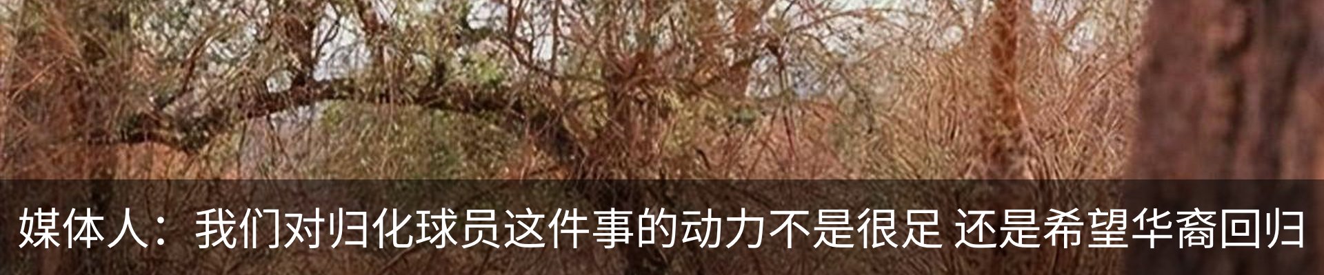 行业资讯