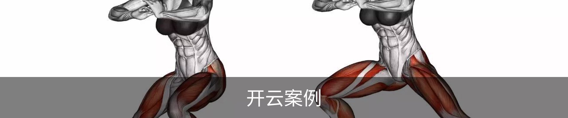 开云案例