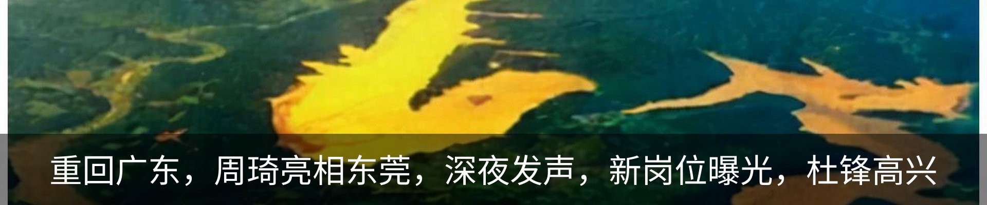 行业资讯