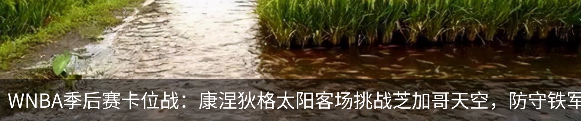 行业资讯